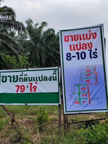 ขายที่ดิน 79 ไร่ ต.ทุ่งคา อ.เมือง จ.ชุมพร  (มีแบ่งแปลง 8-10 ไร่)