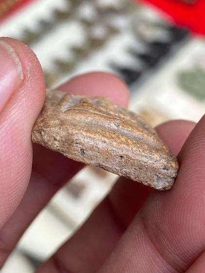 พระสมเด็จ รูปที่ 6