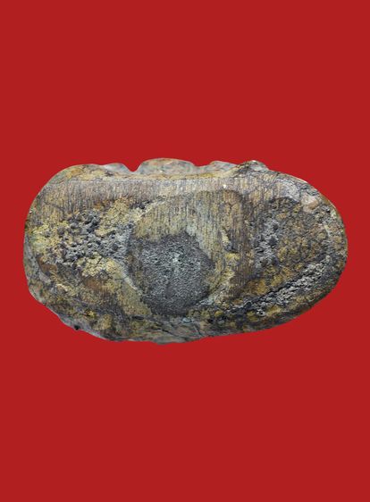 ให้เช่า พระบ้านหายาก รูปหล่อโบราณหลวงพ่อสุด วัดหนองหวาย จ.สุราษฎร์ธานี รุ่นแรก หายาก รูปที่ 11