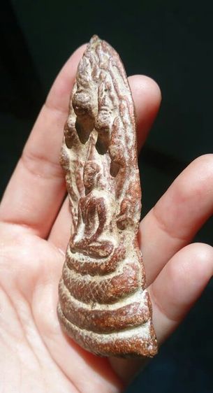 พระโคนสมอปางนาคปรก รูปที่ 4