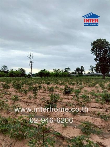 ไม่ใช่ ที่ดินเปล่า 4 ไร่ 221 ตร.ว. หมู่บ้านแฮด ใกล้ รร.บ้านแฮด วัดบ้านหนองโง้ง ถนนทางหลวงชนบท1039 ถนนมิตรภาพ บ้านแฮด ขอนแก่น รูปที่ 2