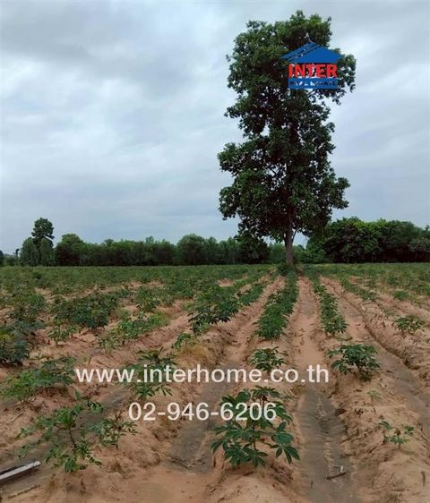 ไม่ใช่ ที่ดินเปล่า 4 ไร่ 221 ตร.ว. หมู่บ้านแฮด ใกล้ รร.บ้านแฮด วัดบ้านหนองโง้ง ถนนทางหลวงชนบท1039 ถนนมิตรภาพ บ้านแฮด ขอนแก่น รูปที่ 3