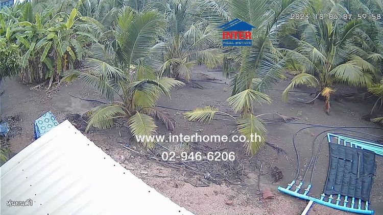 ไม่ใช่ ที่ดินเปล่า 4 ไร่ 3 งาน 12 ตร.ว. อยู่ระหว่างตลาดน้ำดำเนินสะดวกและตลาดอัมพวา ถนนสมุทรสงคราม-บางแพ ถนนโยธาธิการสมุทรสงคราม234 บางคนที  รูปที่ 4