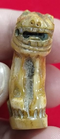 เสือหลวงพ่อปาน พิมพ์อ้าปากตัวผู้ ตัวใหญ่สง่า รูปที่ 7