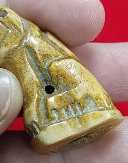 เสือหลวงพ่อปาน พิมพ์อ้าปากตัวผู้ ตัวใหญ่สง่า รูปที่ 5