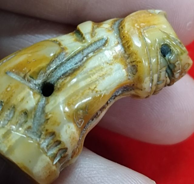 เสือหลวงพ่อปาน พิมพ์อ้าปากตัวผู้ ตัวใหญ่สง่า รูปที่ 16