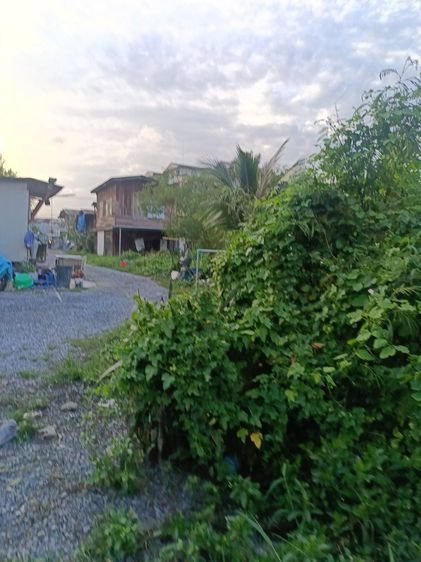 ที่ดินขายด้วน