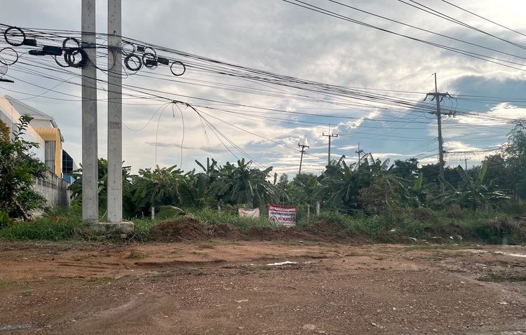 ที่ดิน 8 ไร่ ติดถนนโรจนะ ใกล้ทางด่วน 200 เมตร 098 7755 808 รูปที่ 3