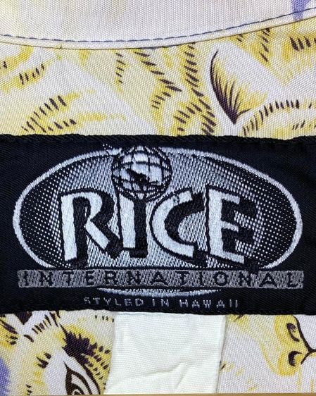 ฮาวาย เสือร้อย Rice international รูปที่ 4