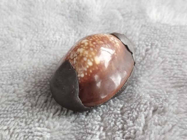 เบี้ยแก้ รุ่น มหากัน หลวงปู่แผ้ว ผลปัญโญ สำนักสงฆ์ใสหลวง จ.พัทลุง ปี 2567