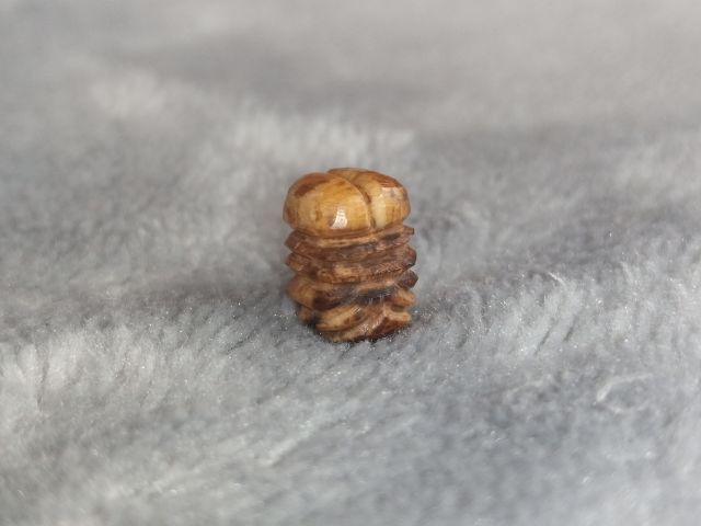 อิ่น รูปที่ 5