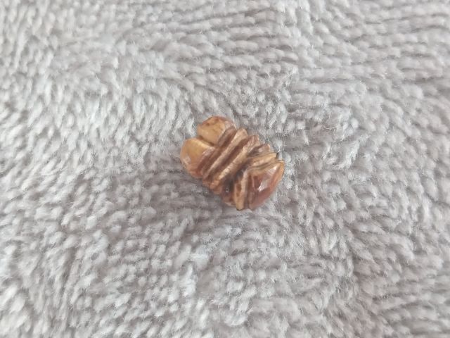 อิ่น รูปที่ 11