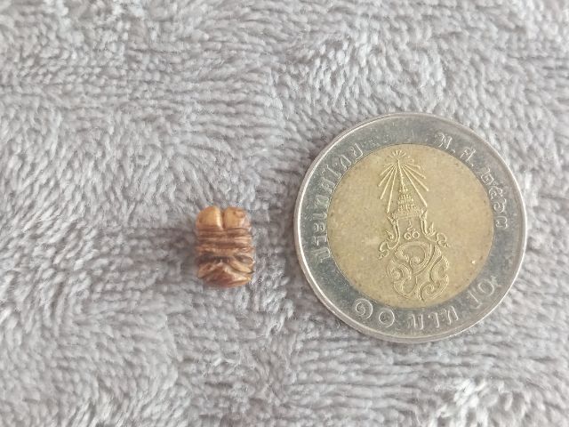 อิ่น รูปที่ 13