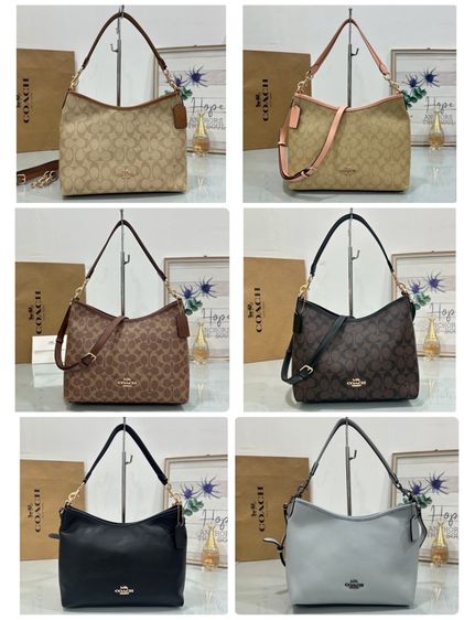 COACH (11”) ครบสี  รูปที่ 4
