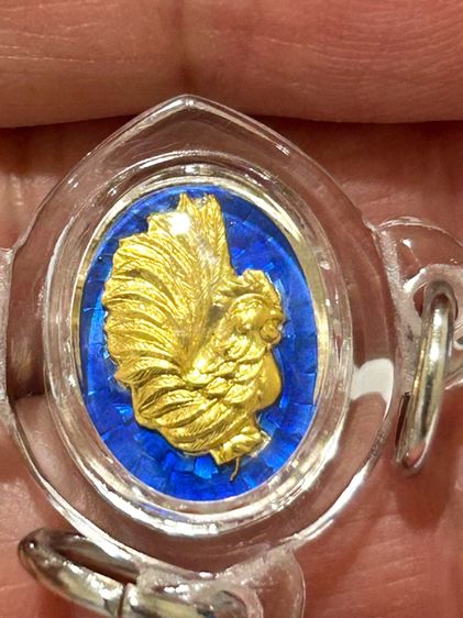 	เม็ดแตงไก่เนื้อเงินหน้าทองคำ ลงยานำ้เงิน สะดุ้งกลับรุ่นแรกหลวง ปู่สรวง วัดถ้ำพรหมสวัสดิ์หมายเลข 49 รูปที่ 12