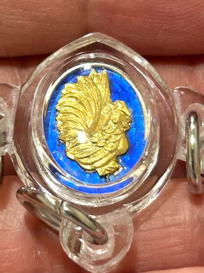 	เม็ดแตงไก่เนื้อเงินหน้าทองคำ ลงยานำ้เงิน สะดุ้งกลับรุ่นแรกหลวง ปู่สรวง วัดถ้ำพรหมสวัสดิ์หมายเลข 49 รูปที่ 11