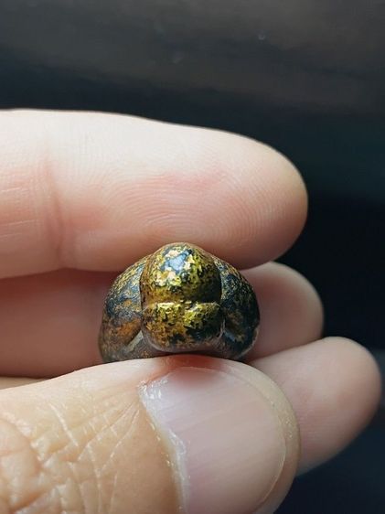 พระปิดตาหลวงพ่อแก้ว รูปที่ 6