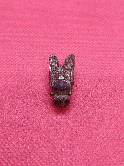 แมลงภู่คำไม้ดุมล้อเกวียน ประเทศพม่า รูปที่ 3