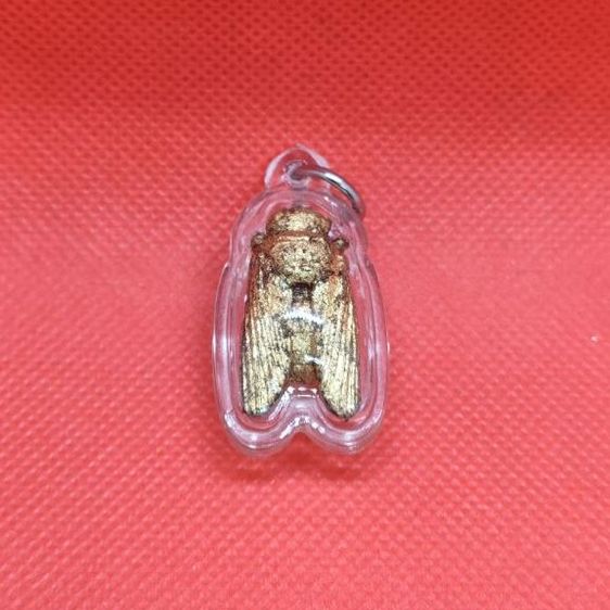 แมลงภู่คำไม้ดุมล้อเกวียน ประเทศพม่า