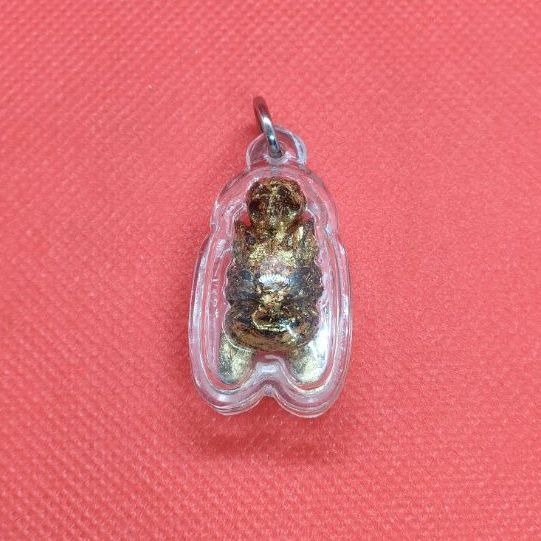 แมลงภู่คำไม้ดุมล้อเกวียน ประเทศพม่า รูปที่ 3