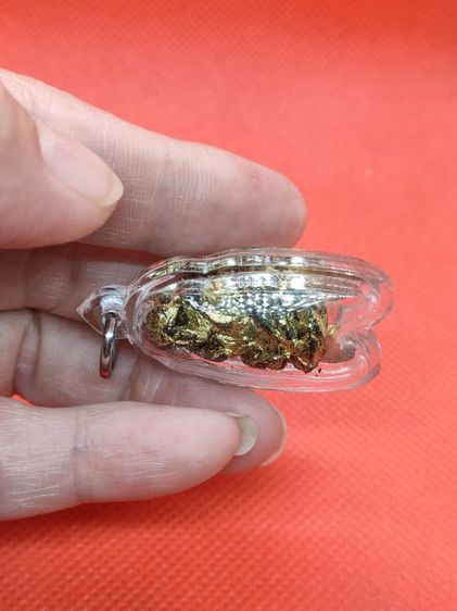 แมลงภู่คำไม้ดุมล้อเกวียน ประเทศพม่า รูปที่ 9