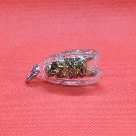 แมลงภู่คำไม้ดุมล้อเกวียน ประเทศพม่า รูปที่ 5