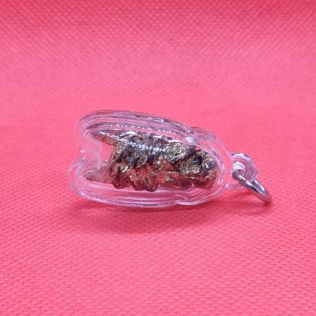 แมลงภู่คำไม้ดุมล้อเกวียน ประเทศพม่า รูปที่ 6