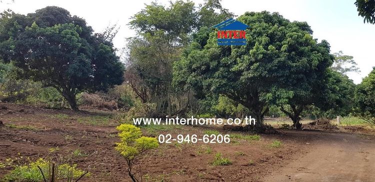 ไม่ใช่ ที่ดินเปล่า 11 ไร่ 387 ตร.ว. ที่ดินเปล่า ซอยบ้านปางกว้าง ซอย5 ถนนโชตนา ถนนแม่แตง แม่แตง เชียงใหม่ รูปที่ 4