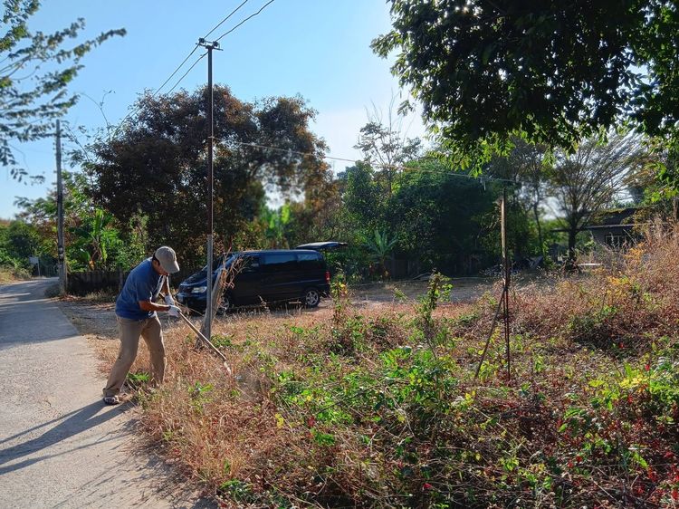 ต้องการขายที่ดินในซ.โยธาธิการ5 ต.บ้านโพธิ์ อำเภอเมือง นครราชสีมา 280 ตารางวา รูปที่ 4