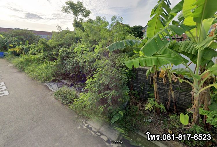 ขายที่ดินเปล่า ซอยร่วมสุข 3