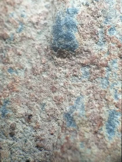 กรุบ้านท่าหวี. รูปที่ 9