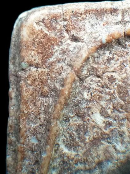 พิมพ์เส้นด้าย. รูปที่ 11