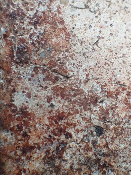 พิมพ์เส้นด้าย. รูปที่ 15