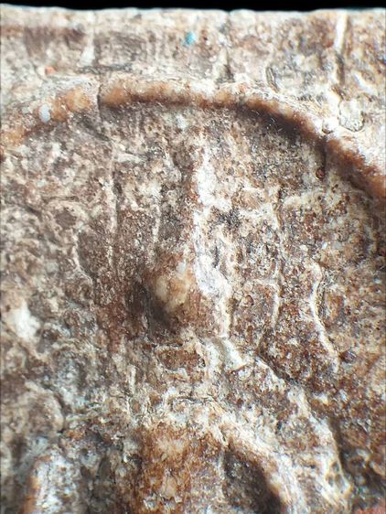 พิมพ์เส้นด้าย. รูปที่ 4