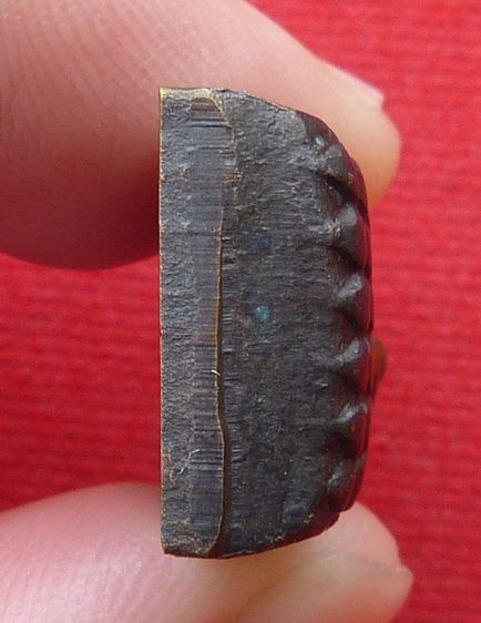 หลวงปู่ทวดพิมพ์เล็กหลังหนังสือ รูปที่ 3