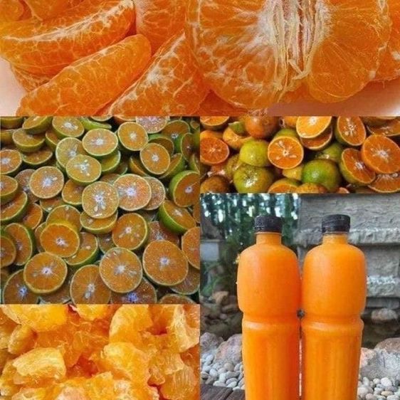 🛵🪖🍊จัดโปรทุกมื้อที่คุณสั่ง การส่งต่อพลังใจให้ครอบครัววีรบุรุษทหารไทยรบกัมพูชา...สู้ไปด้วยกันคนไทยไม่ทิ้งกันNo1🥤🪖🇹🇭
 รูปที่ 11