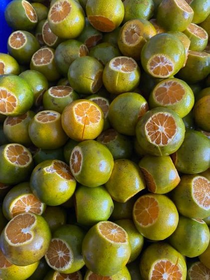 🍊🍉🥑🥥จำหน่าย(ขายปลีก-ส่ง)น้ำผลไม้คั้นสด🍊🍍🍎🥑ราคาเริ่มต้น20บาทสนใจสั่งชิมทางApp Lineman รูปที่ 14