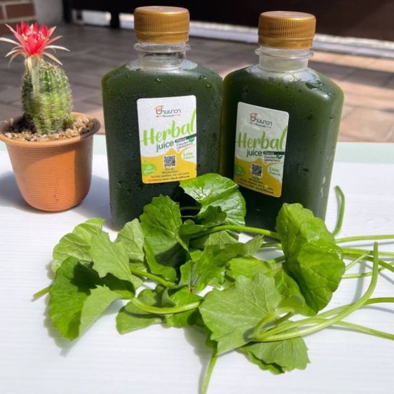 🍊🍉🥑🥥จำหน่าย(ขายปลีก-ส่ง)น้ำผลไม้คั้นสด🍊🍍🍎🥑ราคาเริ่มต้น20บาทสนใจสั่งชิมทางApp Lineman รูปที่ 5