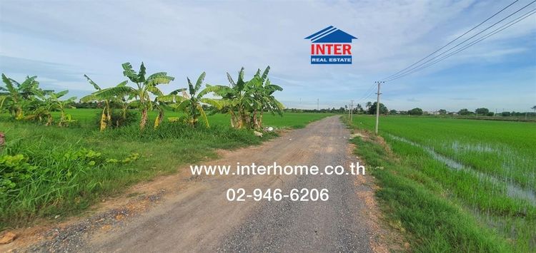 ไม่ใช่ ที่ดินเปล่า 15 ไร่ ที่ดิน ซอยอยู่วิทยา13 ถนนสุวินทวงศ์ ถนนอยู่วิทยา เขตหนองจอก กรุงเทพมหานคร