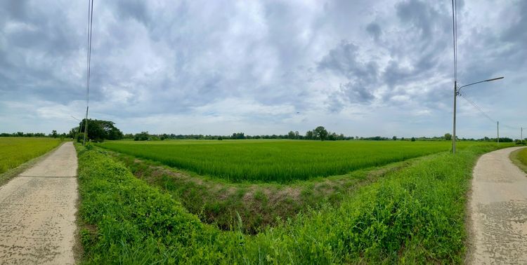 ไม่ใช่ ขายที่ดินเงียบสงบ เหมาะปลีกวิเวกใช้ชีวิต SLOW LIFE, ทำเกษตร หรือ WFH อ.ภาชี อยุธยา รูปที่ 2