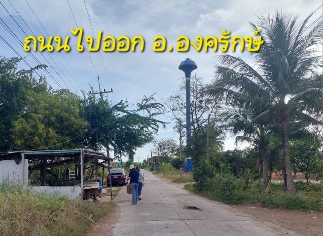 ขายที่ดิน รูปที่ 3