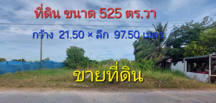 ขายที่ดิน รูปที่ 2