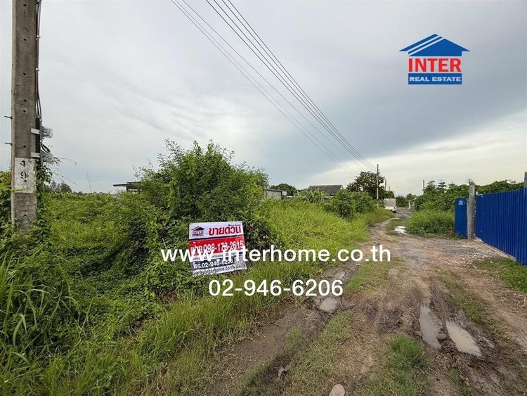 ไม่ใช่ ที่ดินเปล่า 67 ตร.ว. ที่ดิน ถนนร่วมพัฒนา ซอยคลองลำตามีร้องไห้ ถนนร่วมพัฒนา ถนนสุวินทวงศ์ เขตหนองจอก กรุงเทพมหานคร รูปที่ 3