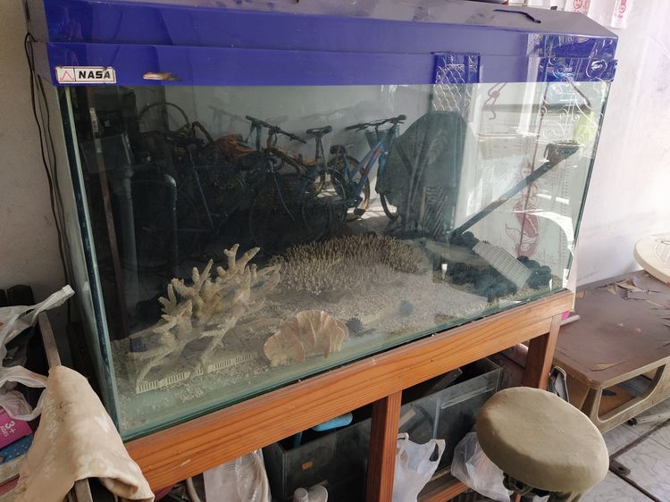 ตู้ปลา ติดต่อ0863316558 รูปที่ 2