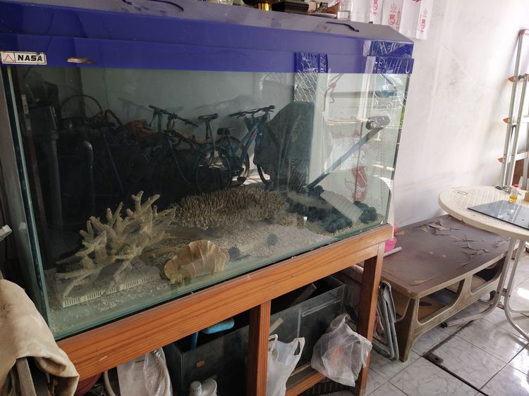 อุปกรณ์ตู้ปลา ตู้ปลา ติดต่อ0863316558