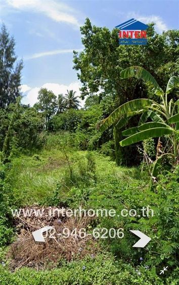 ไม่ใช่ ที่ดินเปล่า 800 ตร.ว. ที่ดินเปล่า ใกล้สวนสุธิดา2 ถนนคลองชลประทานที่9 ฝั่งตะวันออก หนองเสือ ปทุมธานี รูปที่ 4
