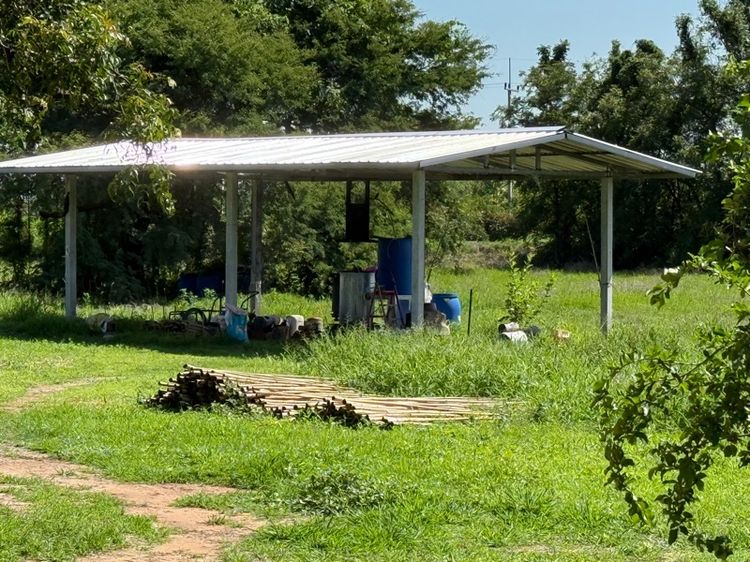 ไม่ใช่ ที่ดินผืนใหญ่ 75 ไร่ พร้อม บ้านพักและ สวนไผ่ซางหม่น 5ปี รูปที่ 2