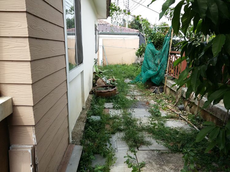 Pruksa มีบางส่วน 2015 ขายทาวน์เฮ้าส์ชั้นเดียวหลังมุม (9.9แสน) รูปที่ 3