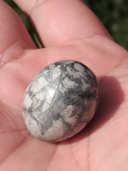 คตไข่หิน ขนาดเท่าไข่นก มีน้ำหนัก สภาพสวย สมบูรณ์ รูปทรงรี มีมิติ ขนาดไม่เท่ากัน คตแท้ๆที่กลายเป็นหินไม่ใช่ของปลอม มีน้ำหนัก สภาพเดิม เป็นธรร