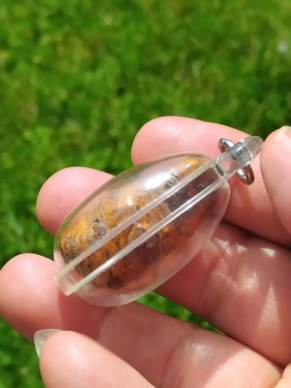 คตต้นไผ่ ขนาดเท่าไข่นก มีน้ำหนัก สภาพสวย สมบูรณ์ รูปทรงรี มีมิติ ขนาดไม่เท่ากัน คตแท้ๆที่กลายเป็นหินไม่ใช่ของปลอม มีน้ำหนัก สภาพเดิม เป็นธรร รูปที่ 5